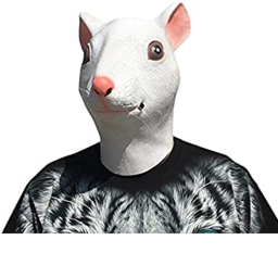 [TUTORIAL UPDATE] rat medical department