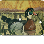 Duck huntin