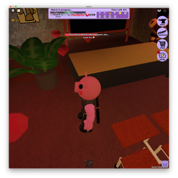 piggy