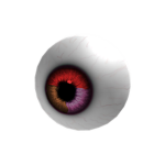 The Eyeballs