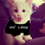 Vivi’s Shop