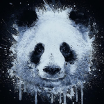 A Panda group! lol