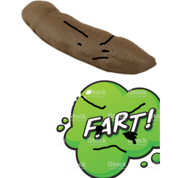 the fart vs the poop