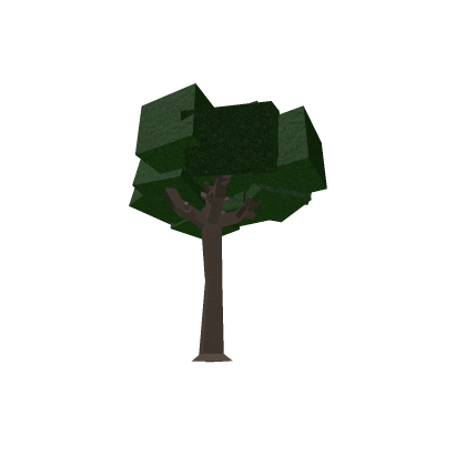 Oak Tree
