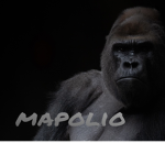 Mapolio’s