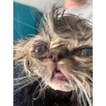 idkuhumuhum