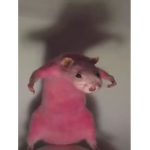 WeAreRat
