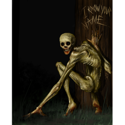 THE ZOMED