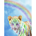 Jayden rainbow lions