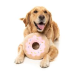 *. DOGGIE DONUTS .*