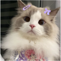☾