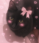 miino