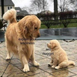 Bestie No bully