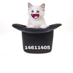 katz101