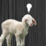 SmartSheep Studio