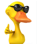 Druppy Duck Group