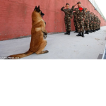 Republic Of Korea Armyㅣ대한민국육군