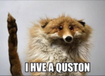 proud furry group