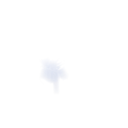 THE BRIGHT SUN