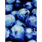 Blueberryyyyy Squaddd