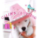 C 4 L 3 N