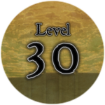 Level 30