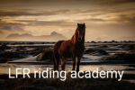 LFR riding academy