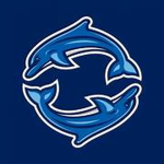 Bayside Dolphins