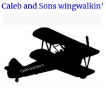 Caleb and Son's Wingwalking!