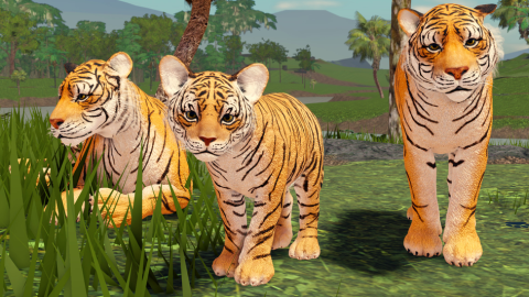 [🐆] Jungle Life