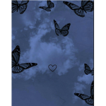 *~Butterfly cy*~