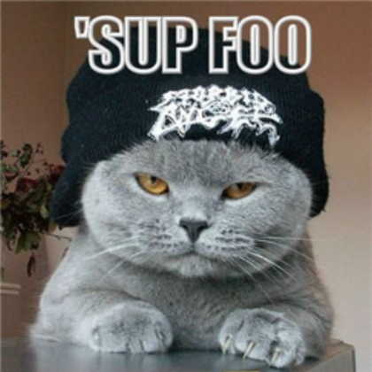 Funny Cat Decal 2 Roblox decal