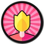 Torch