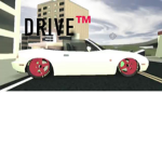 Drive™ Racing