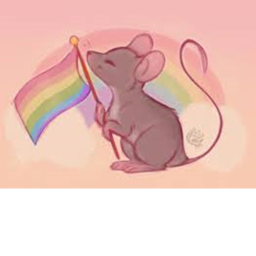 *G A Y   R A T S *