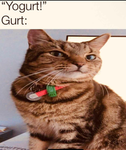 Gurt believers
