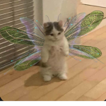 ɪᴅᴋ ᴊᴜsᴛ ᴄʀᴇᴀᴛᴇᴅ