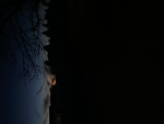 Robloc is awesome :) Need friends