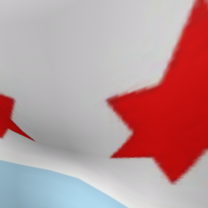 CHICAGO CAPE