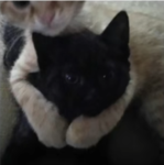 SMILE IMMEDIATELY