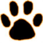 houston tiger basketball