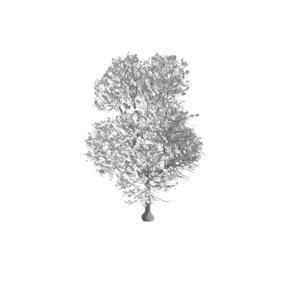 White tree model