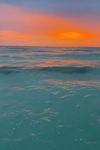 Nala Sunsets!
