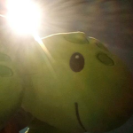 #Turtlez Nation