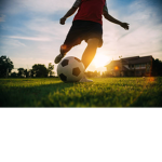 Monkey plaing soccer group