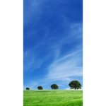 Cloudycat