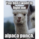 The Crazzy Alpaca Likers Group