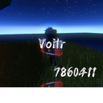 Voilr