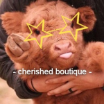 - cherished boutique -