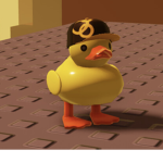 Welcome to duck group